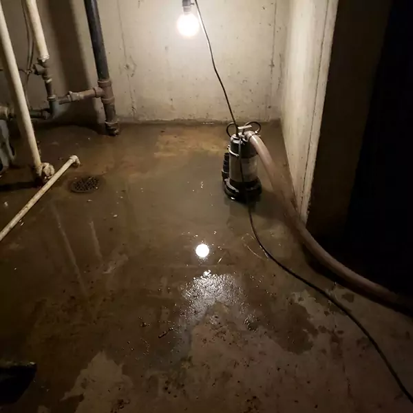 Basement Flood Clean Up in Davie, FL