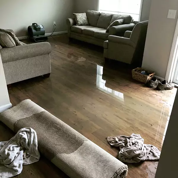 Flood Restoration in Davie, FL