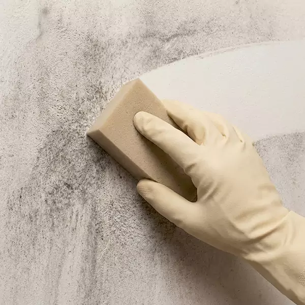 Smoke Cleaning in Davie, FL 