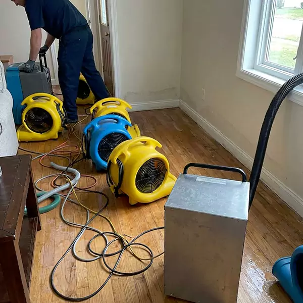 Water Mitigation Services in Davie, FL