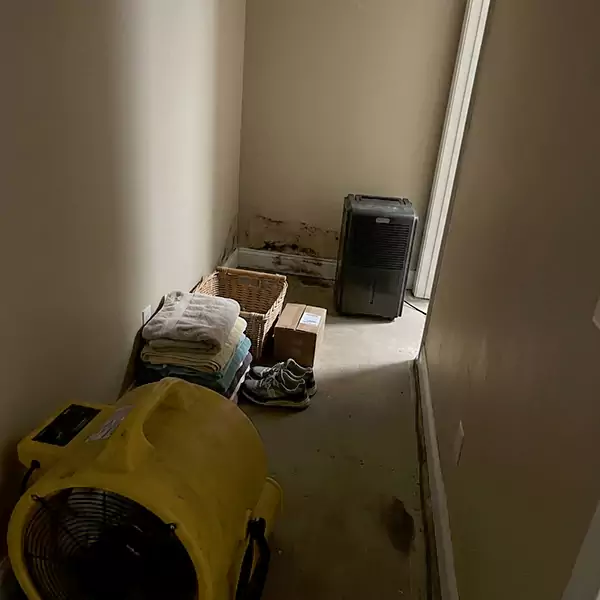 Expert Water Remediation in Davie, FL 