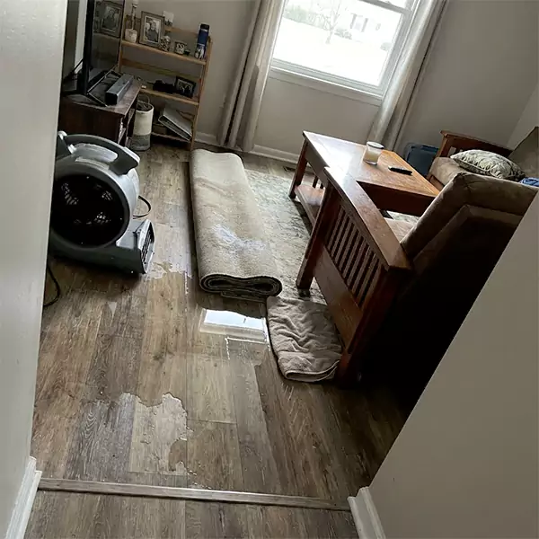 Water Restoration in Davie, FL