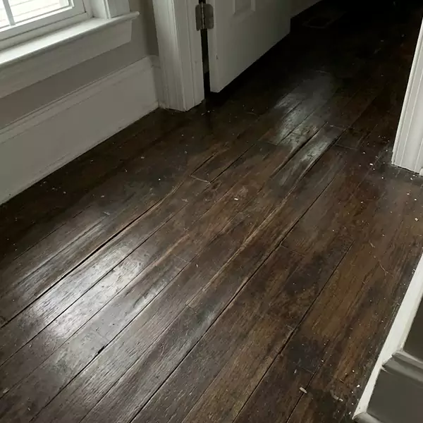 Wood Floor Water Damage Repair in Davie, FL