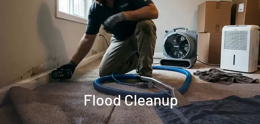 Flood Cleanup 