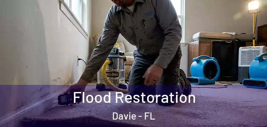 Flood Restoration Davie - FL