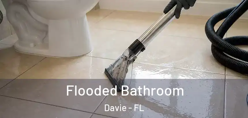  Flooded Bathroom Davie - FL