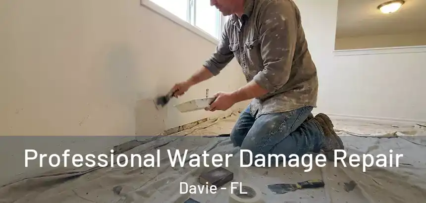  Professional Water Damage Repair Davie - FL