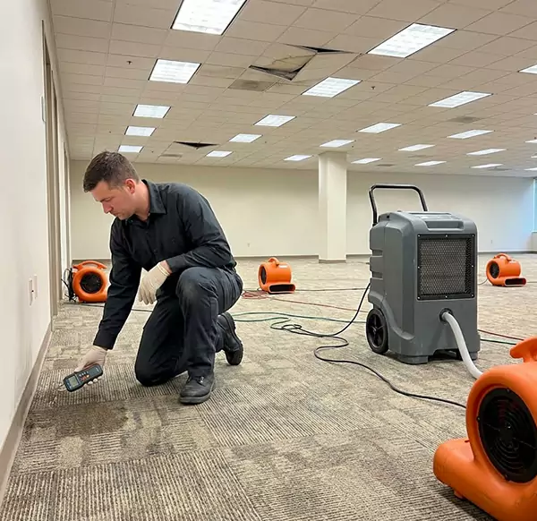 Why Businesses Choose Davie FL Water Damage for Commercial Water Damage in Davie, FL?