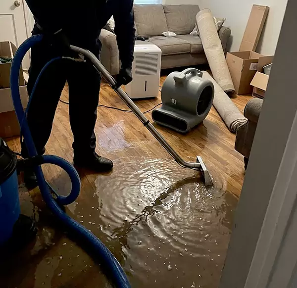 Why Homeowners & Businesses Choose Davie FL Water Damage for Flood Cleanup in Davie, FL?