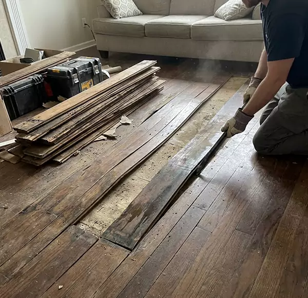 Why Choose Davie FL Water Damage for Wood Floor Water Damage Repair in Davie, FL?