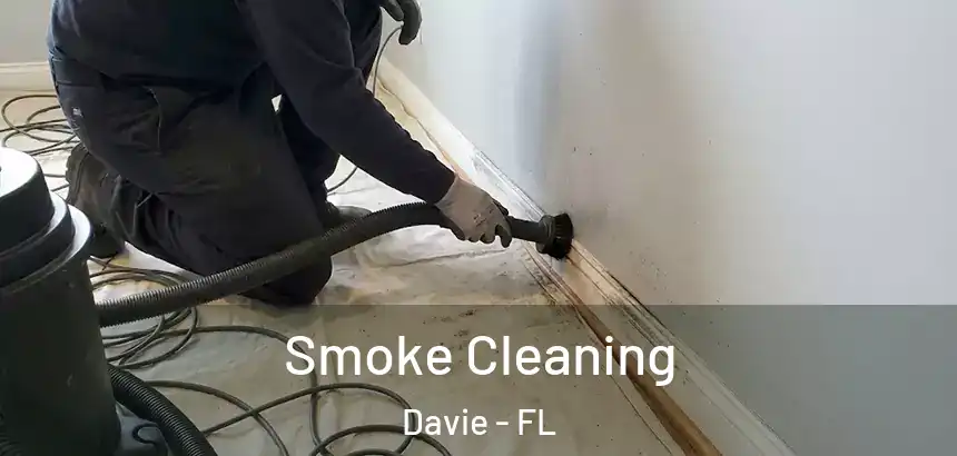  Smoke Cleaning Davie - FL