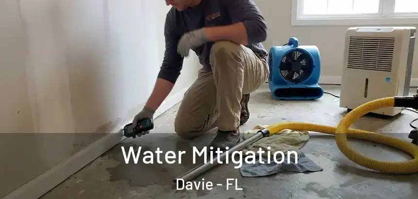  Water Mitigation Davie - FL