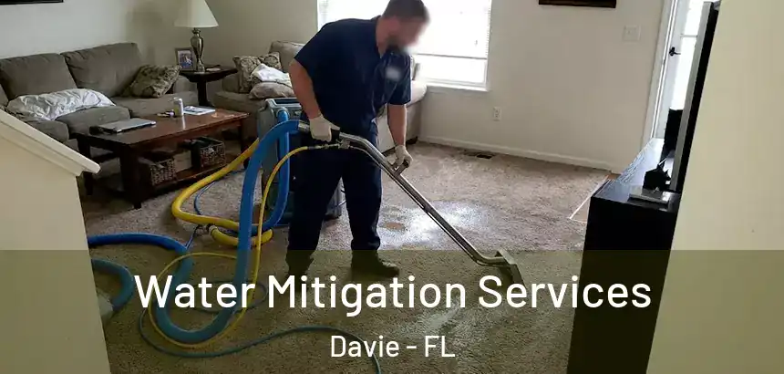  Water Mitigation Services Davie - FL