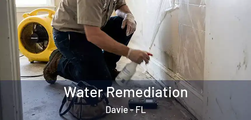  Water Remediation Davie - FL